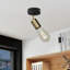 Aceon Flush Mount