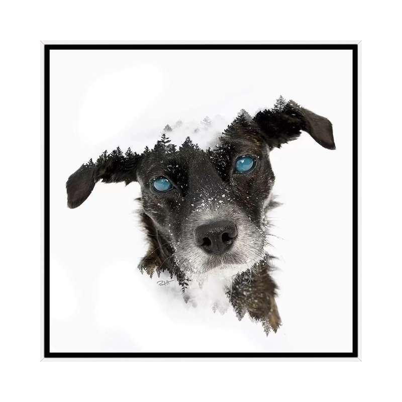 Dog by Paul Haag - Print on Canvas, 66.04 cm H x 66.04 cm W, White Framed