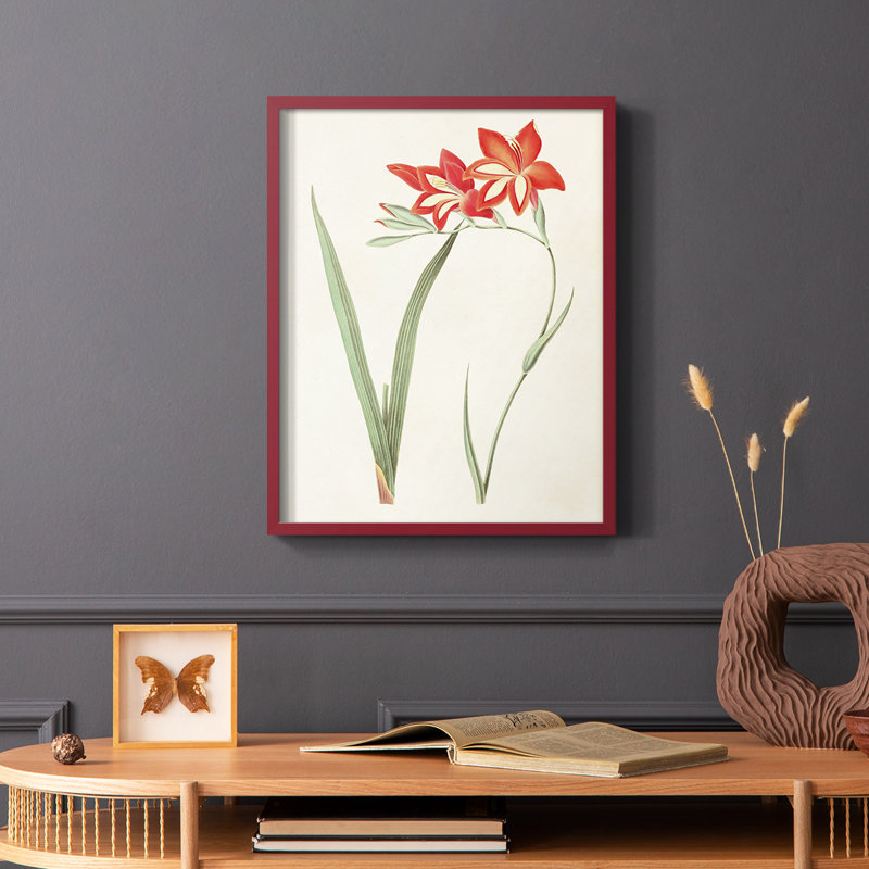 Fleurs des saisons IV, reproduction encadrée - bois massif, Rouge, H 10 po x l 8 po