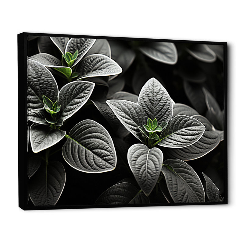 Plantes grises, sérénité botanique sur toile, H 30 po x l 40 po x P 1,5 po, Cadre flottant noir