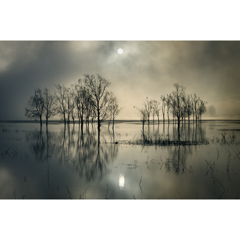 Wrapped Canvas Print, 121.92 cm H x 81.28 cm W