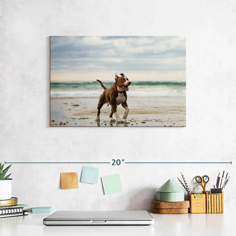 Brampt Pit Bull On Beach, 8" H x 12" W