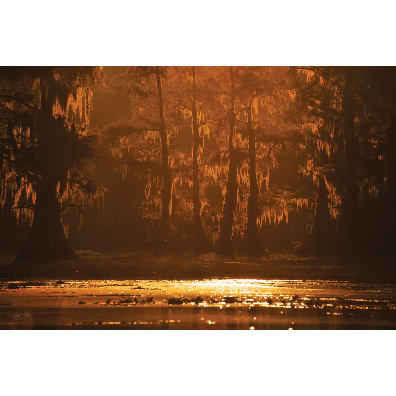 Glowing Swamp par Martin Podt, H 8 po x l 12 po
