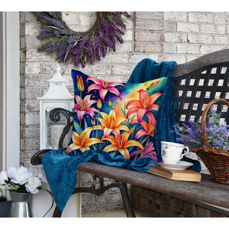 Other/No Pattern Outdoor Throw Pillow, 18" x 18"