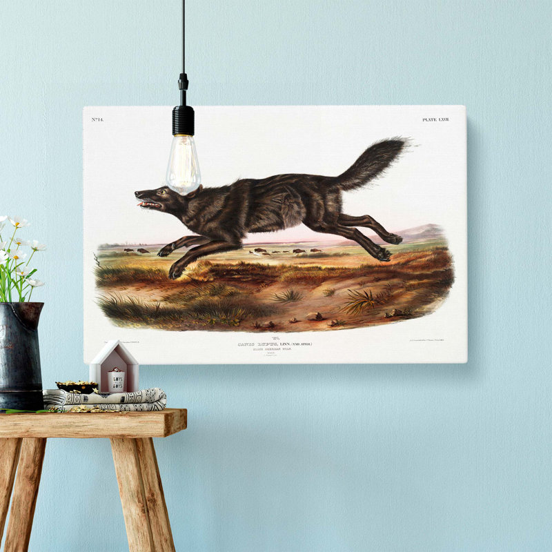 Black American Wolf by J.W. Audubon - Wrapped Canvas, 50cm H x 76cm W x 3cm D