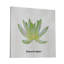 Echeveria Nova II - impression sur toile tendue