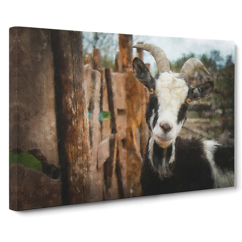 Goat Vol.1 - Wrapped Canvas, 50cm H x 76cm W x 3cm D