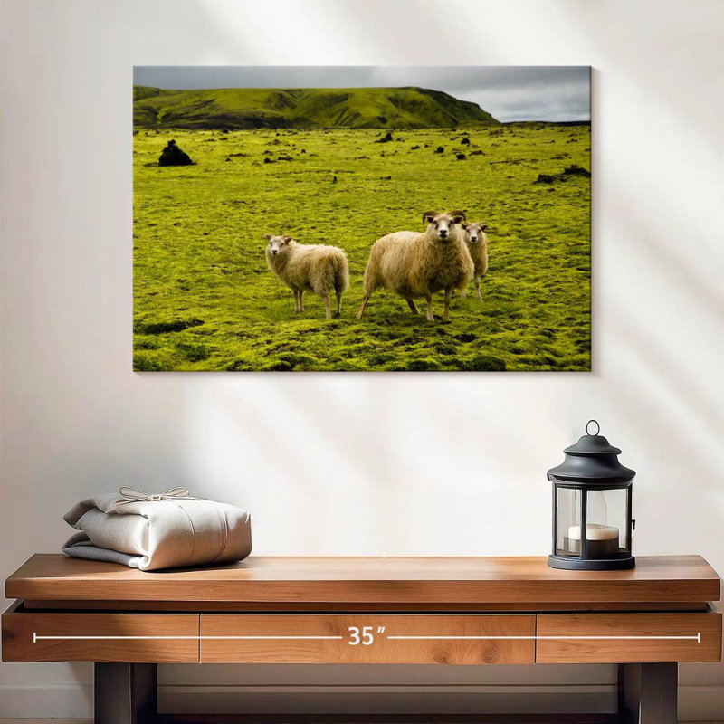 Crowle Icelandic Sheep, 16" H x 24" W