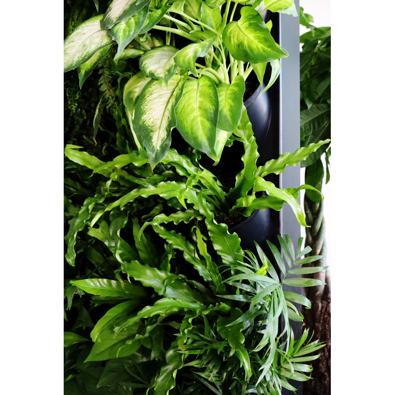 Chesley Vertical Garden, Black, 191.5cm H x 60.8cm W x 11.2cm D