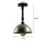 Schulte 1 - Light Dome Pendant-15766099
