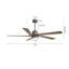 Ventilateur de plafond standard à DEL à 5 pales Athanafis avec télécommande et ensemble d'éclairage inclus-653865801-664920894-625809390