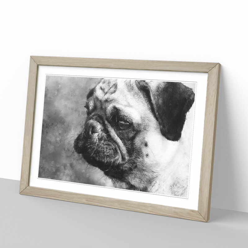 Pug Dog - Framed Print, 27cm H x 36cm W x 2cm D, Oak Framed