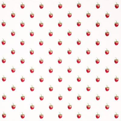 Schumacher x Johnson Hartig Freshie Fresh Fabric