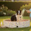 30cm H x 120cm W x 120cm D Dog Pool