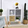 Sybil 2 -Drawer 2 -Shelf Storage Cabinet