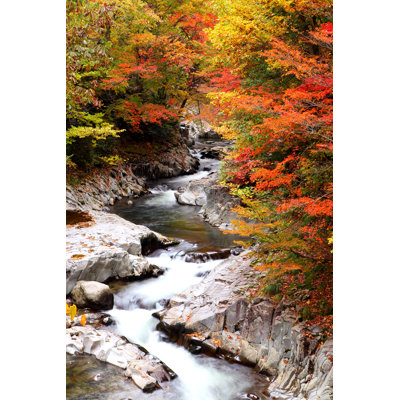 Bridgman Autumn Colours of Valley 1 Piece Wrapped Canvas Wall Art
