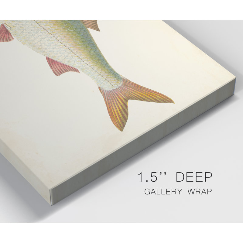 " Donovan Antique Fish II ", 48" H x 32" W x 1" D