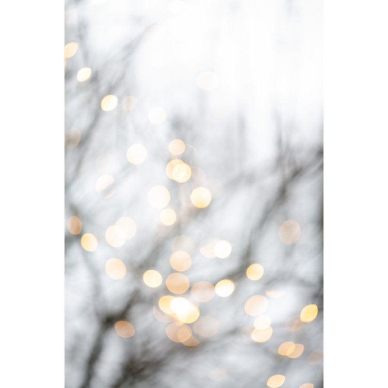 Wrapped Canvas Print, 76.2 cm H x 50.8 cm W