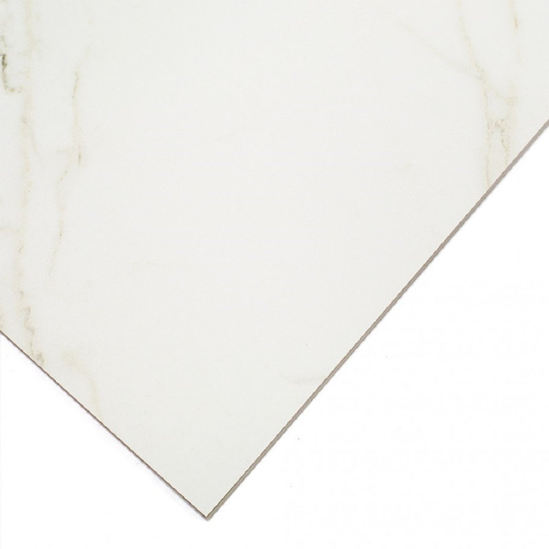 24" x 24" Porcelain Field Tile