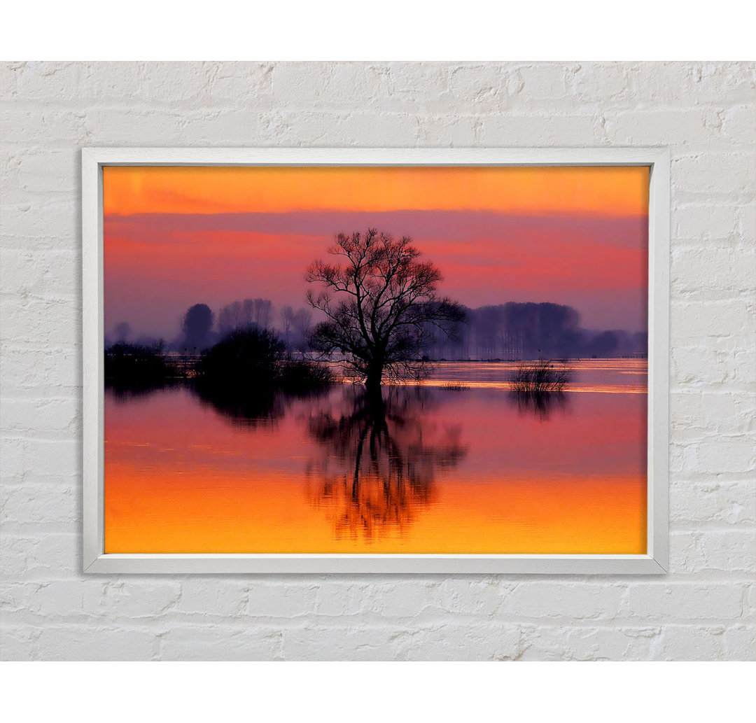 Orange Morning Reflections - Einzelner Bilderrahmen Kunstdrucke auf Leinwand