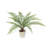 40.0'' Faux Fern Tree in Pot