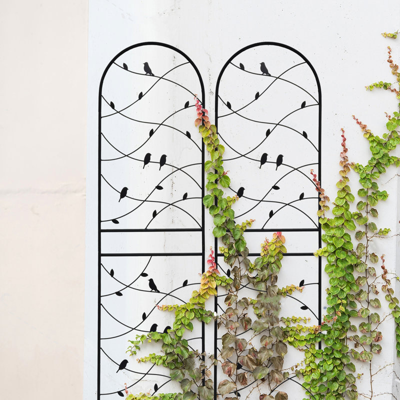 Ensemble de 4 treillis de jardin en métal 71 po x 19,7 po antirouille. Noir pour l'entretien des fleurs d'extérieur. Tube galvanisé facile à assembler. Vignes de lierre adaptées, rose, gloire du matin, jasmin, concombre antirouille 19,7 po. Escalade