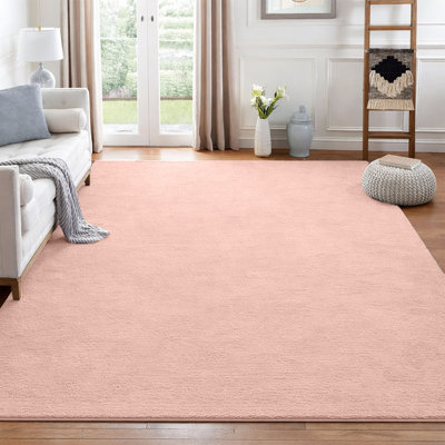 Shag Area Rug