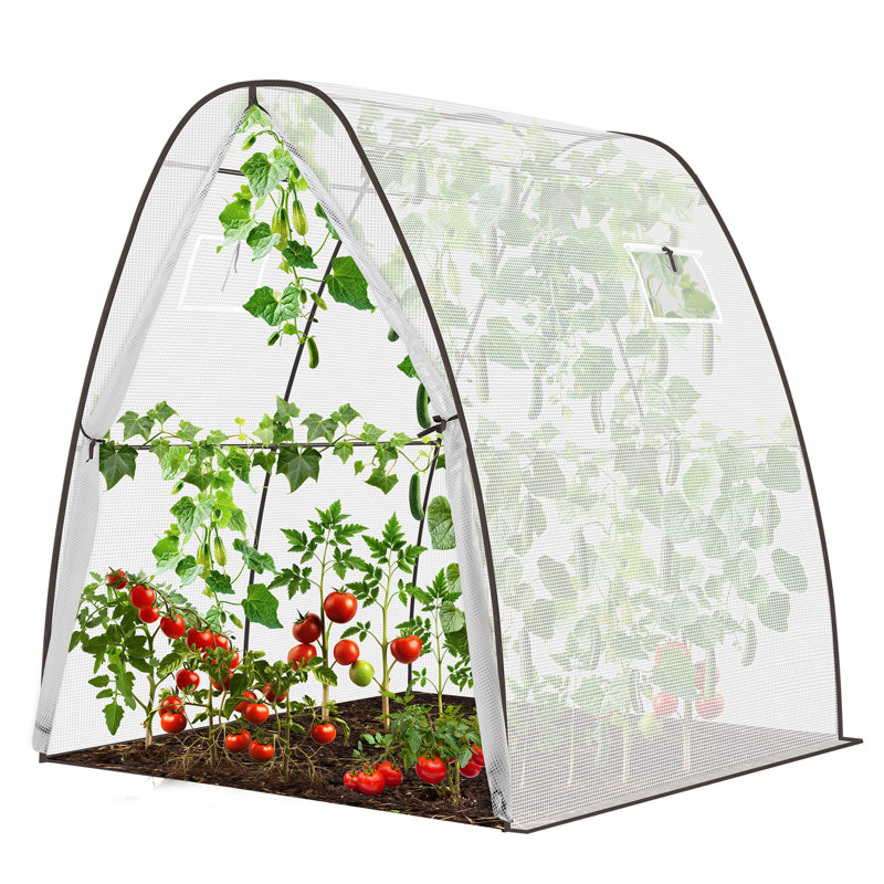 Casch 6 Ft W x 6 Ft D Mini Lean-To Greenhouse