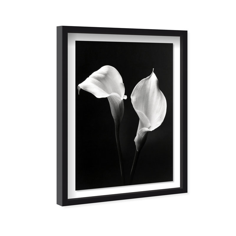 Calla Lily Print by Oliver Gal, 21.5"H x 31.5"W, Black Shadowbox