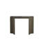 Trent 48'' W Console Table