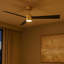 Hinkley Speck Ceiling Fan-1566314487-1566314486