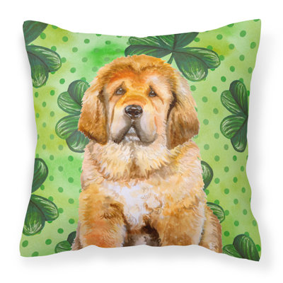 Coussin intérieur/extérieur st patrick