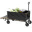 Garden Carts-111677383