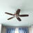 52" Builder Elite 5 - Blade Standard Ceiling Fan with Pull Chain-23681154