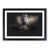 Black Framed selected