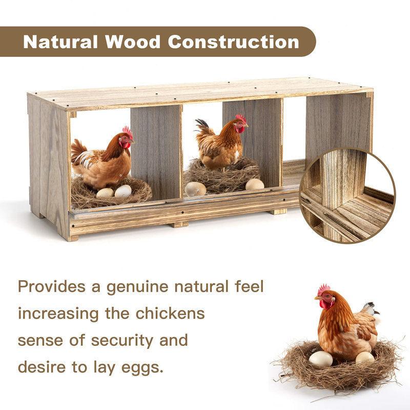 Boîtes de nidification pour poules Effrem, fixation murale à compartiments pour poulets, collection Easy Egg