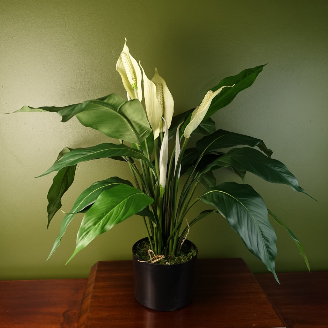 60cm Faux Flowering Plant in Pot Liner
