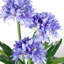 90cm Faux Flowering Plant in Pot Liner