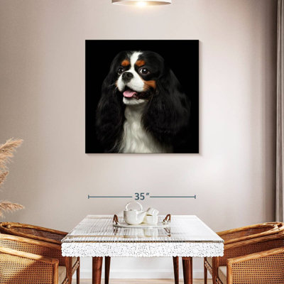 Crowle King Charles Spaniel Pup