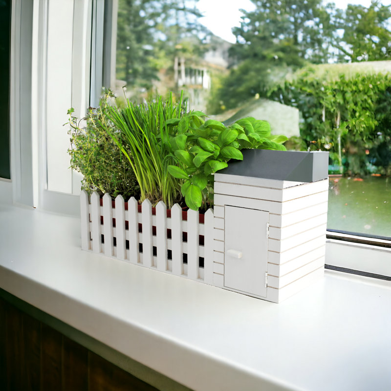 Oliphant with Herbs Seeds Included