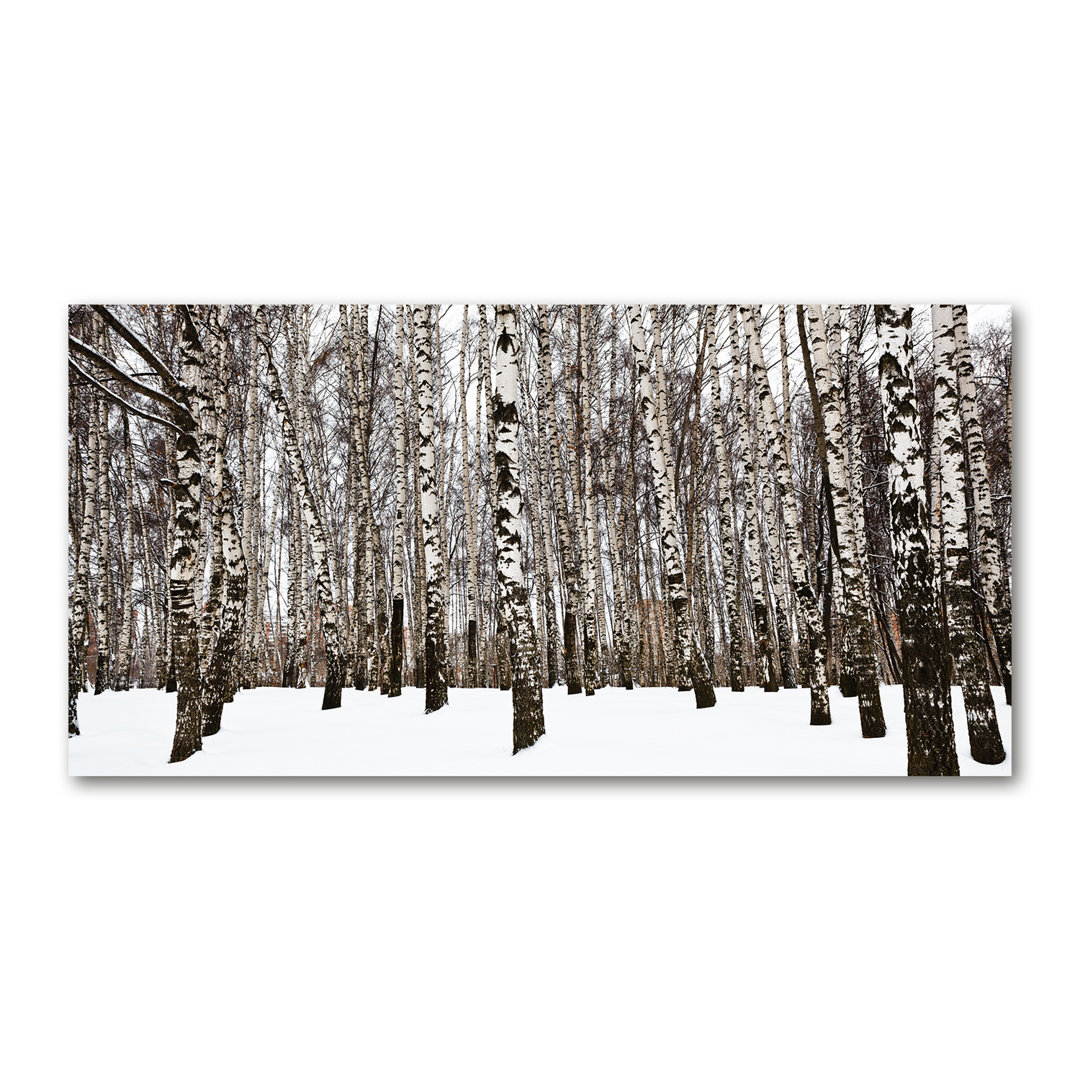 Winterbirken - Kunstdrucke auf Leinwand - Wrapped Canvas