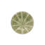 Melons Earthenware Appetizer Plate