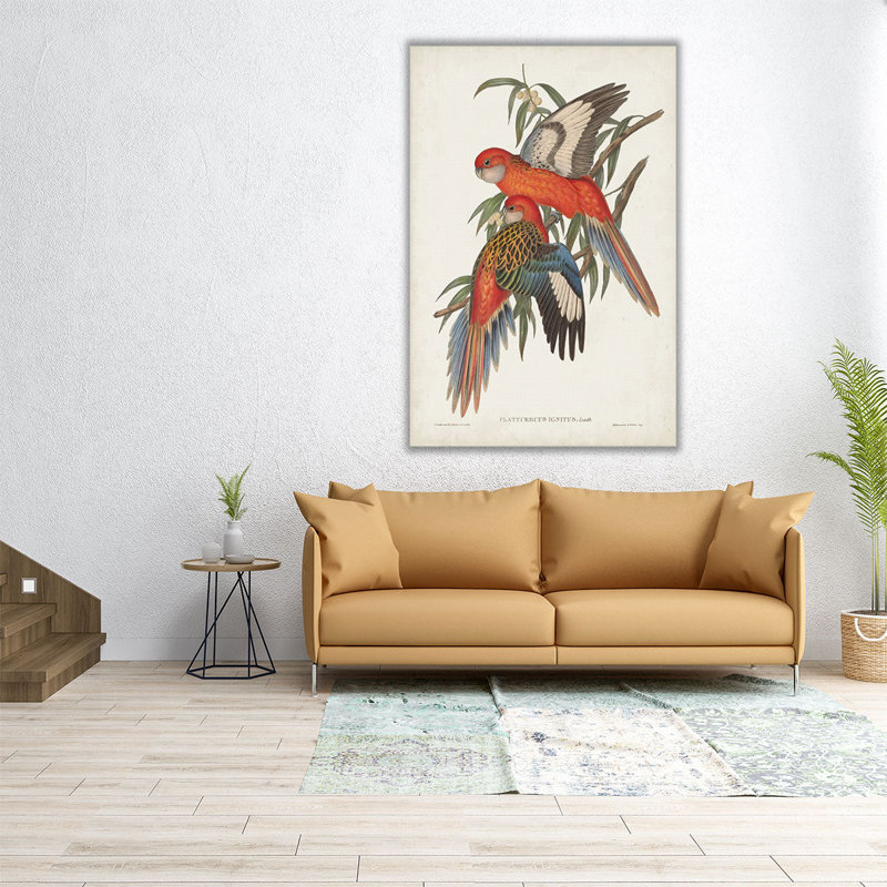 «Tropical Parrots I», reproduction d'art sur toile, H 30 po x l 20 po