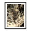 ORCHID Print by Will Birdwell-65850574-65825662