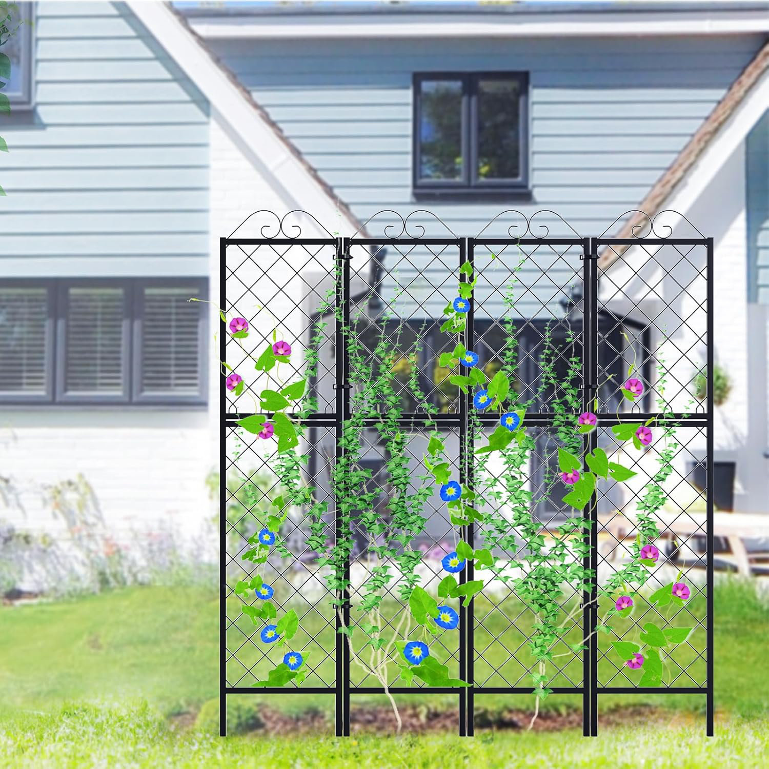 Red Barrel Studio® 2 Pack Metal Garden Trellises for Climbing Plants ...
