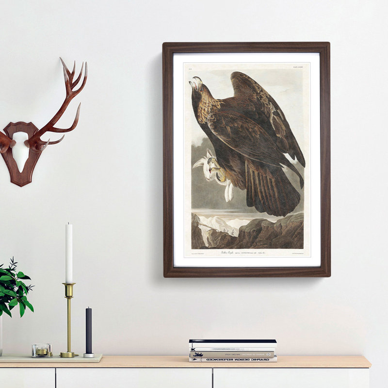 Golden Eagle by John James Audubon - Picture Frame Painting Print, 36cm H x 27cm W x 2cm D, Walnut Framed