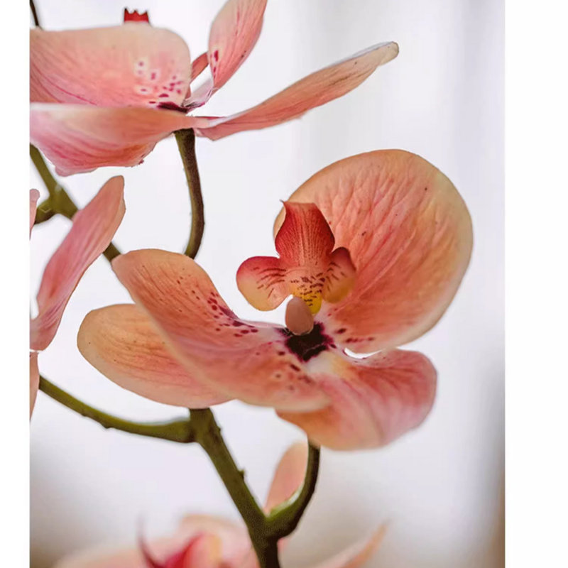 Arrangement floral orchidée papillon