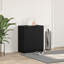 8 Pair Shoe Storage Cabinet