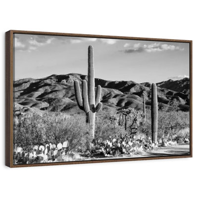 Black Arizona - Tucson Desert Cactus