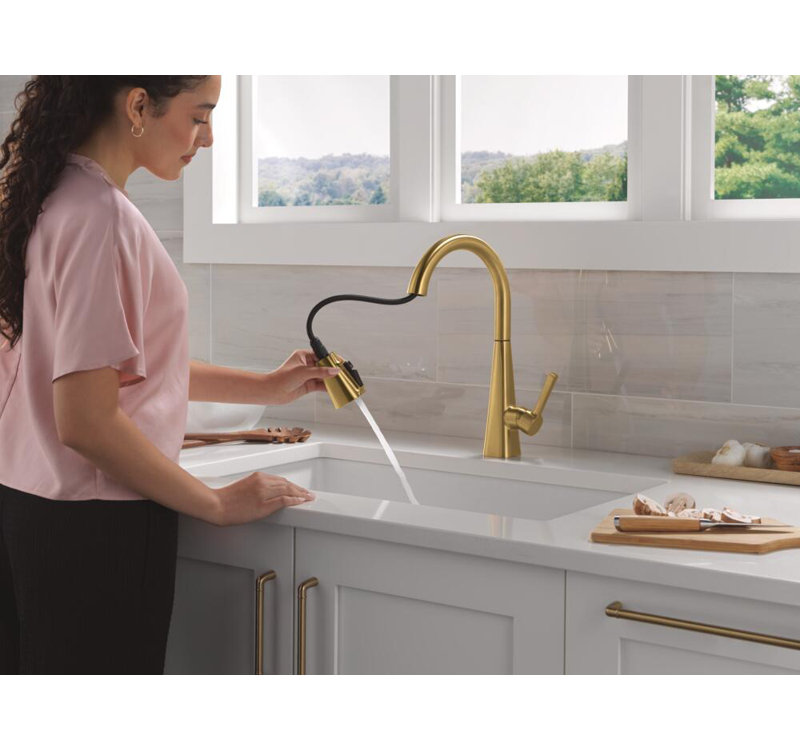 Lenta Brushed Gold Kitchen Faucet with Pull Down Sprayer, Modern Single Hole Kitchen Sink Faucet, Single Handle, Brushed Gold